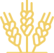 ico_1_1 ico_1_1