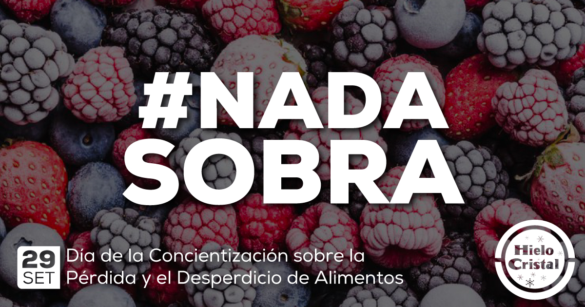 Alimentos Congelados: Clave Contra el Desperdicio de Alimentos | Hielo Cristal