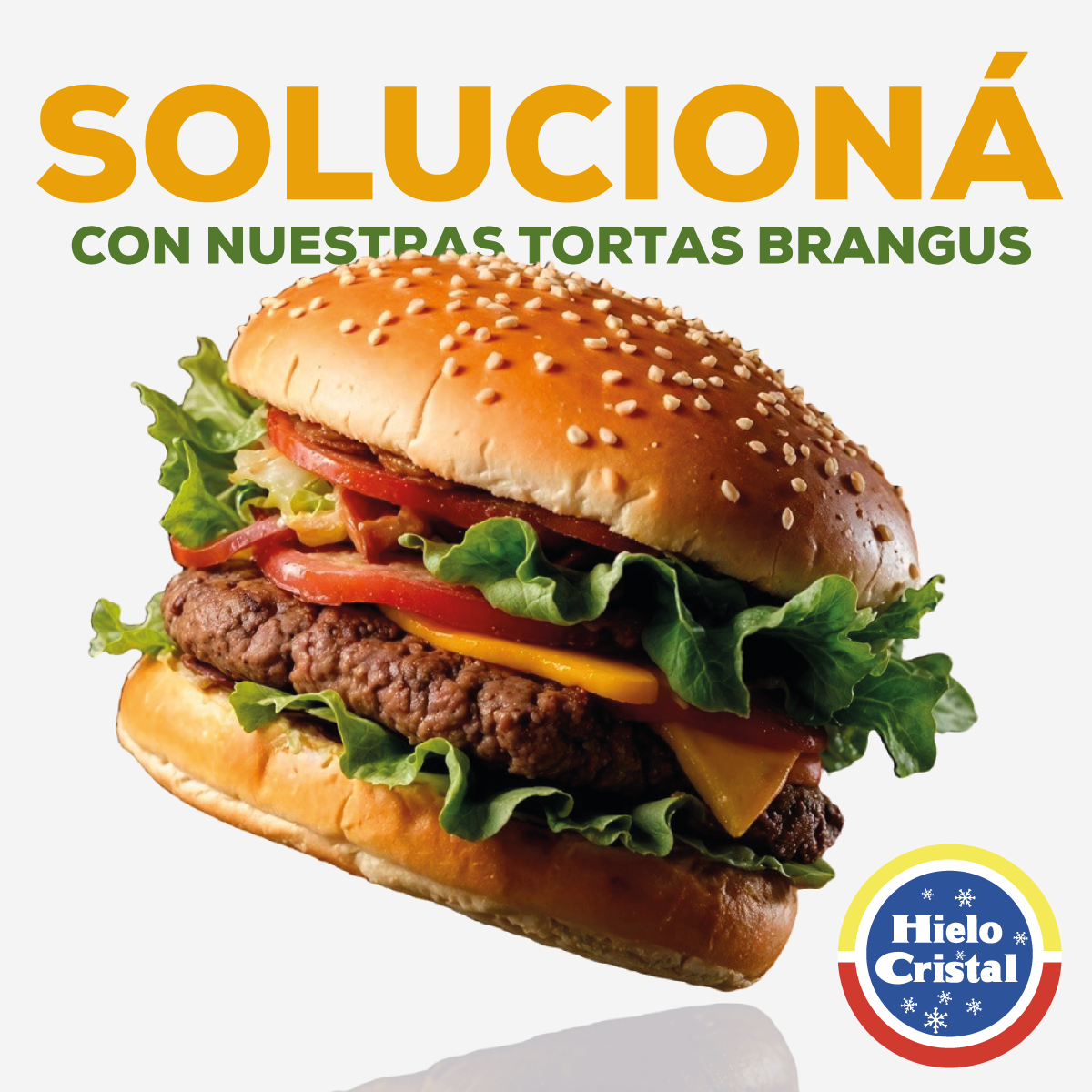tortas brangus | Hielo Cristal | Costa Rica