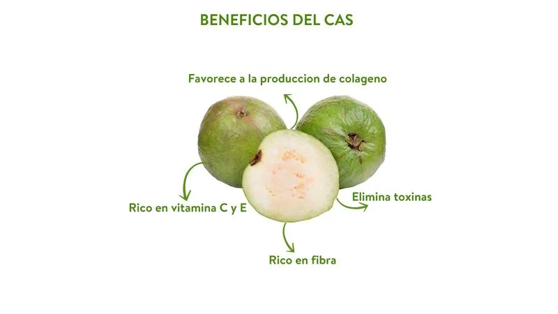 casa beneficios salud hielo cristal costa rica